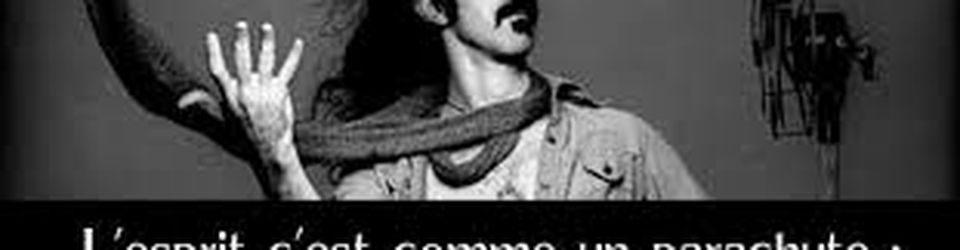 Cover Commentaires glanés sur les morceaux de Frank Zappa dans la liste "Vote ou Zappe"