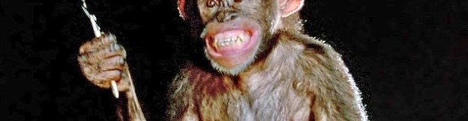 Cover C’est toujours mieux quand il y a des singes