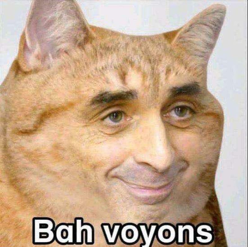 Bannière de Pierpoulet