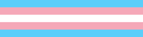 BD traitant de la transidentité (par des personnes concernées)