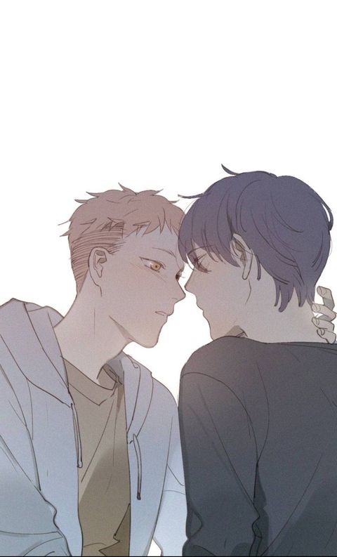 Les meilleurs mangas Yaoi