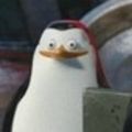 Jawedpingu