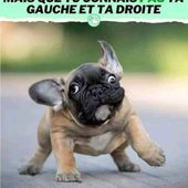 NicolasLaurent8