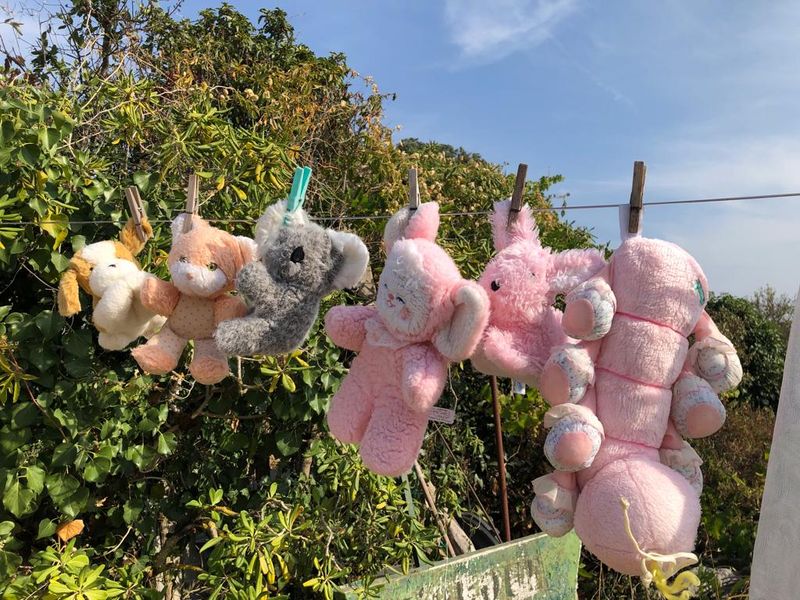 Bannière de Bébé Maudit