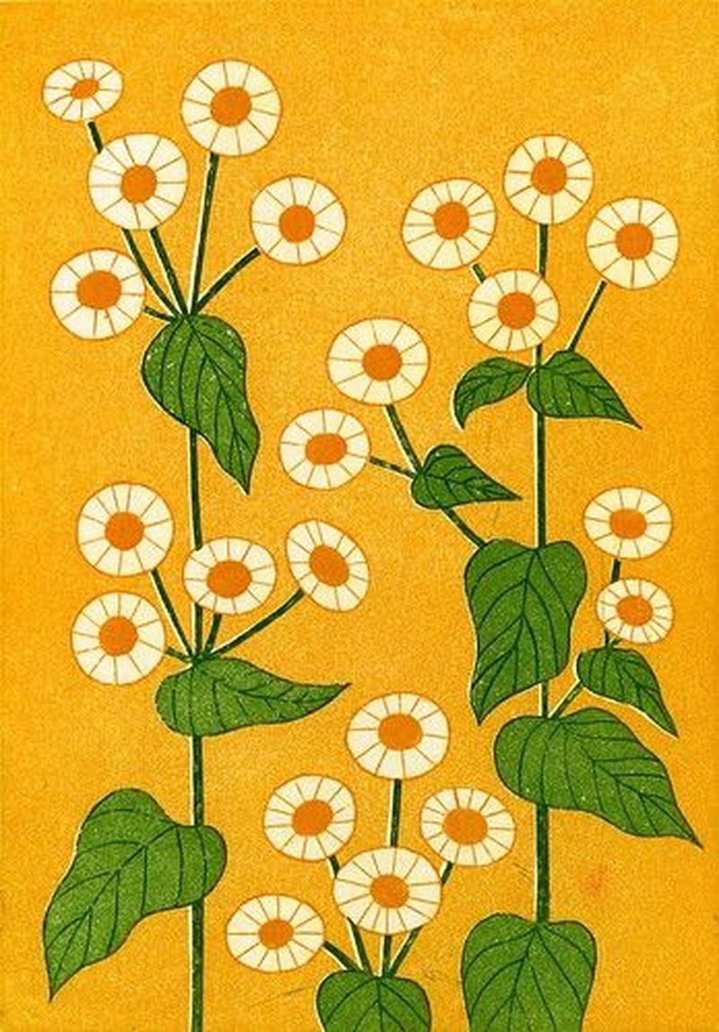 Bannière de lenaclrr_