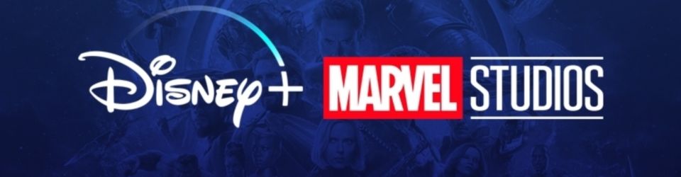 Cover Les Séries Marvel de Disney +