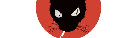 Ma collection LE CHAT QUI FUME - BD / DVD