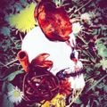 whitemb