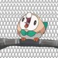 AmphiYoshi