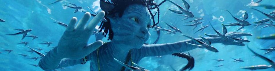 Cover films vu au cinéma en 2023