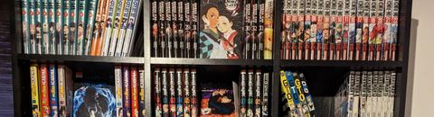 The manga collection