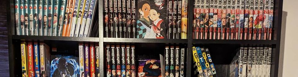 Cover The manga collection