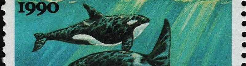 Bannière de Puceau_de_la_joue41