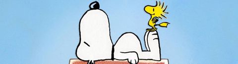 Snoopy lus