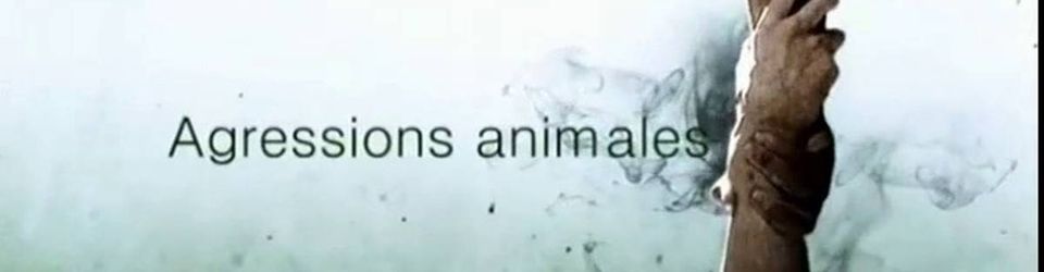 Cover Agressions animales