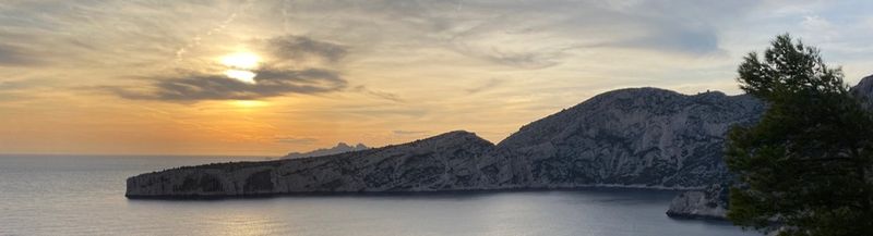 Bannière de Nelsonito34