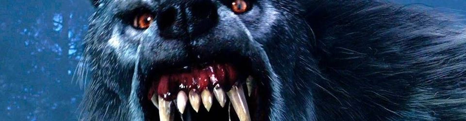 Cover le loup, ce fléau