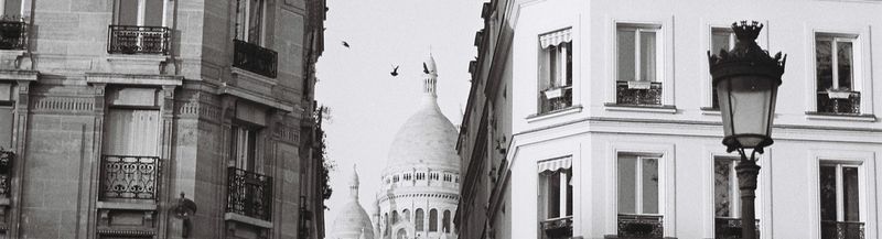 Bannière de leonaurusrex