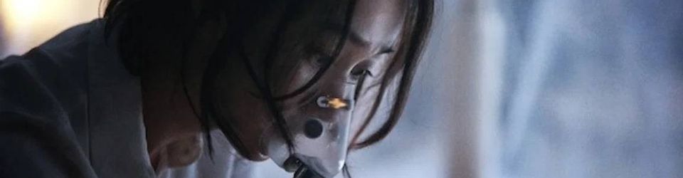 Cover Attrape-moi si tu peux