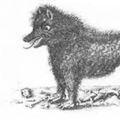 roigustave