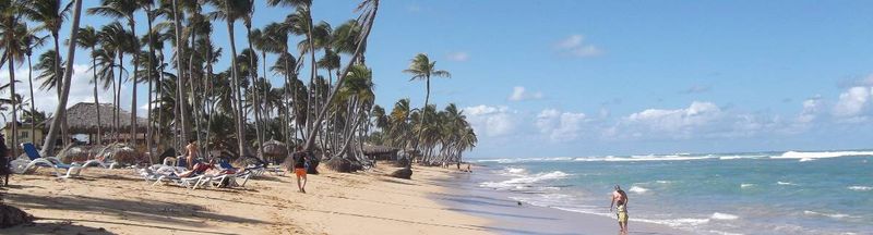 Bannière de Calvinox