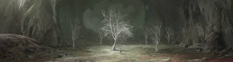 Bannière de shio_b