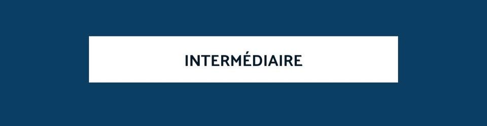 Cover Littérature Intermédiaire: littérature jeunesse mal connue (BDs)