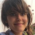 marion_avt