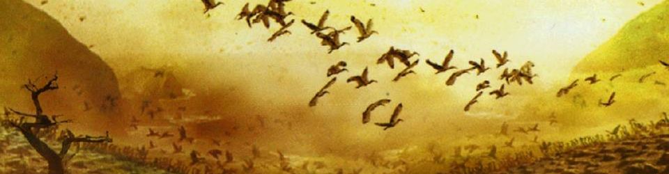 Cover Les meilleurs albums de 2006