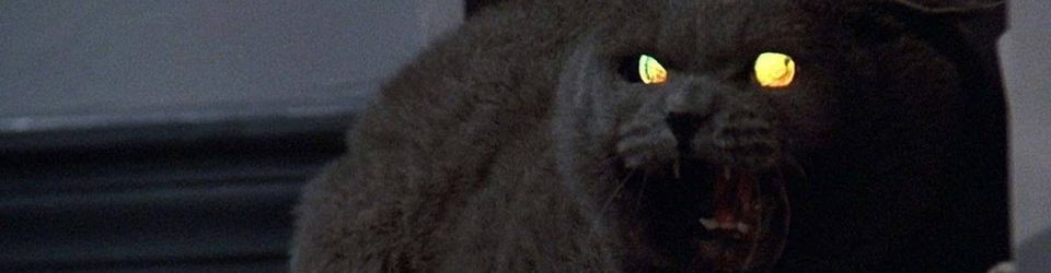 Cover Films dans lesquels il y a un jumpscare avec un chat
