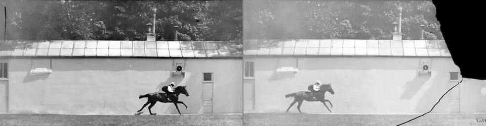 Cover Mon amour du Muet