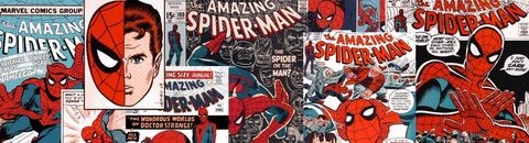 Amazing spider-man