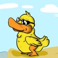 LuCanards