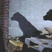 Ghost-Dog