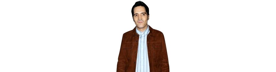 Cover Les meilleurs films avec David Dastmalchian