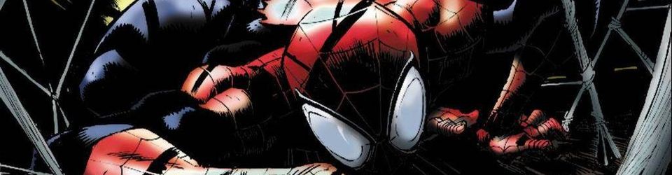 Cover Guide de lecture de Spider-Man (à partir de The Amazing Spider-Man #698) [EN COURS]