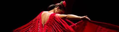 Ma découverte du Flamenco. Olé.