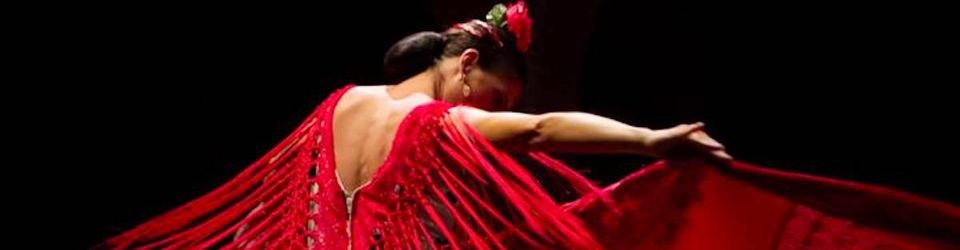 Cover Ma découverte du Flamenco. Olé.