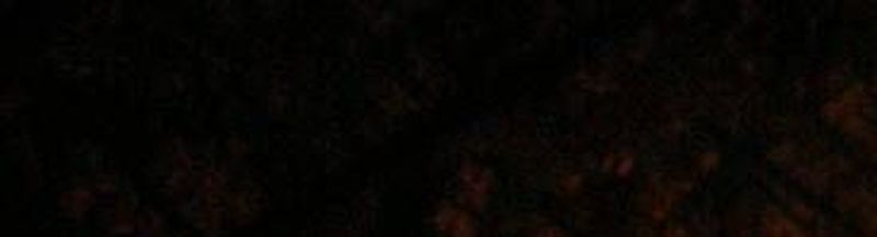 Bannière de Vallotton