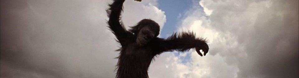Cover Les meilleurs films avec des singes