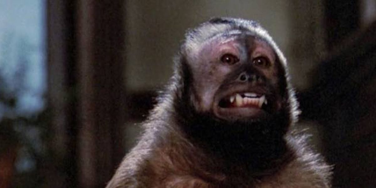 Les meilleurs films avec des singes Liste de 24 films SensCritique