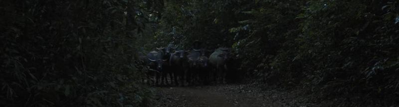 Bannière de Moveor