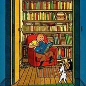 Tintin-Habile