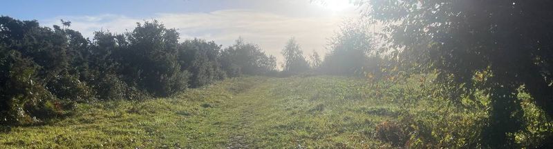 Bannière de Reyd