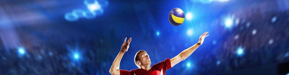Cover Volley-ball (l'histoire du jeu vidéo)