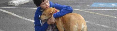 Les meilleurs films avec un chien