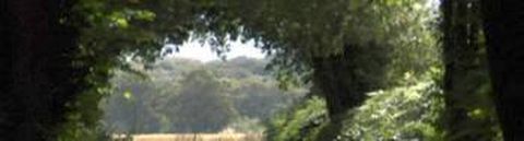 Pays et paysages au cinéma (ENS)