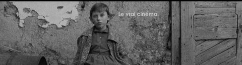 "Les cinéphiles n'aiment que les films hongrois en noir et blanc de plus de 3 heures !"