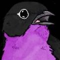 YannBlackbird