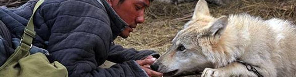 Cover les meilleurs œuvres avec des loups